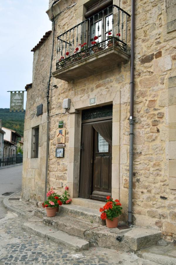 Casa Rural Pinares De Soria モリーノス・デ・ドゥエロ エクステリア 写真